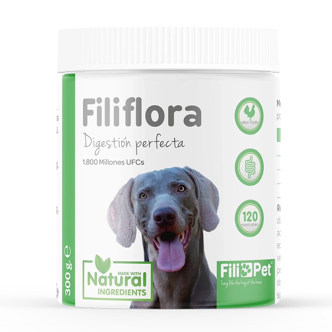 Probiótico Filiflora para perros