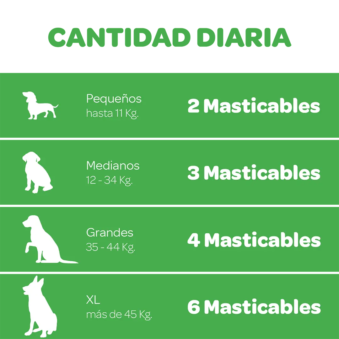 Probiótico Filiflora para perros